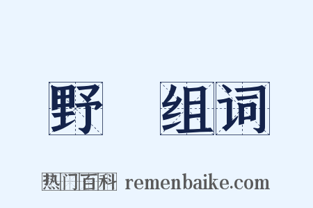 野風组词是什么意思的图片